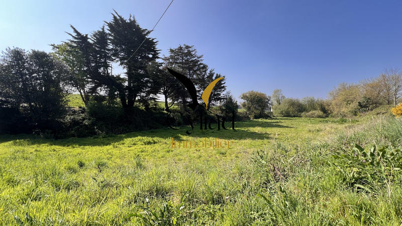 Maison ancienne - 180 m² - 4 pièces