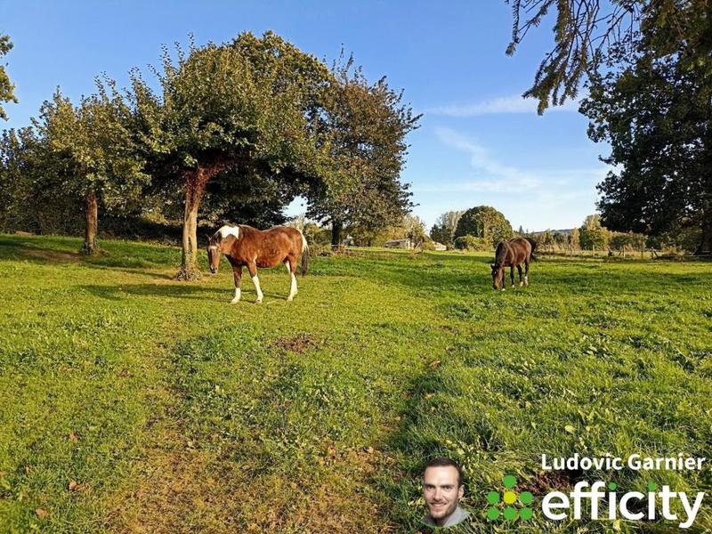 Ferme - 162 m² - 7 pièces