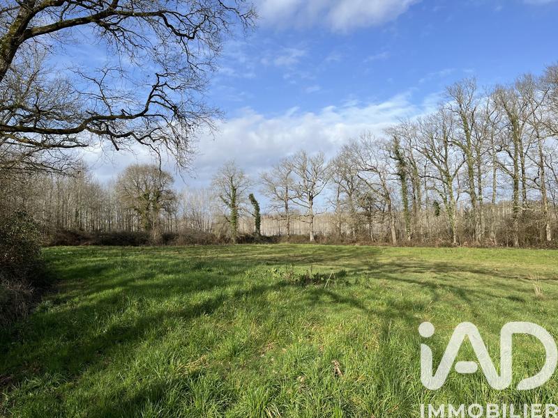 Terrain agricole - 132 080 m²