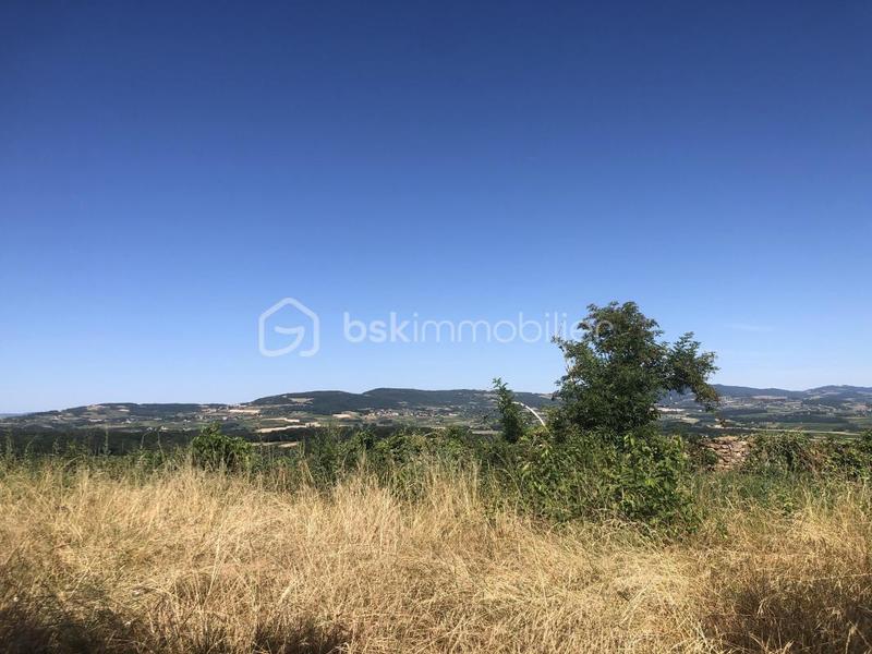 Terrain constructible - 981 m²