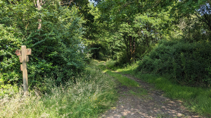 Terrain - 45 170 m²