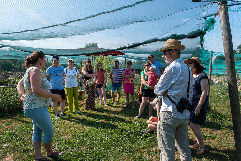 Visite d'un élevage d'escargots