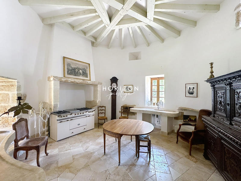 Château - 1 500 m² - 20 pièces