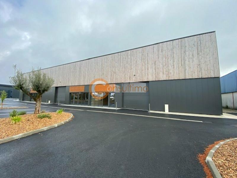 Local d'activité / Entrepôt - 1 662 m²