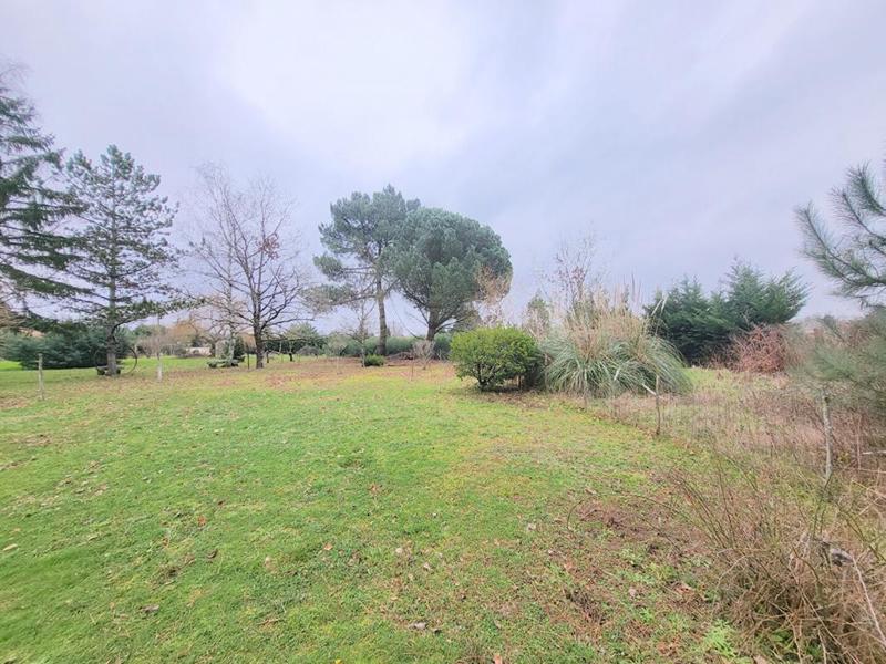 Terrain constructible - 3 099 m²