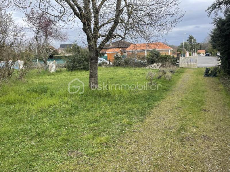 Terrain - 445 m²