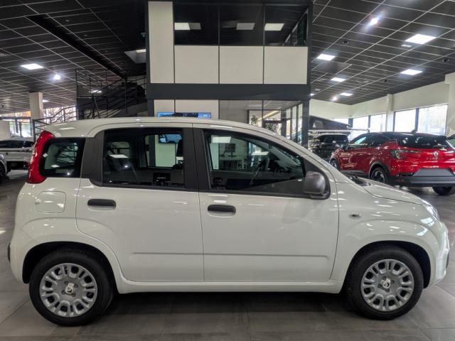 Fiat Panda 1.0 70 ch Hybrid Bsg s/S City