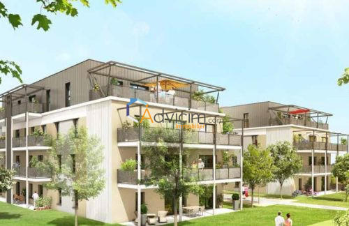 Appartement - 40 m² - 2 pièces