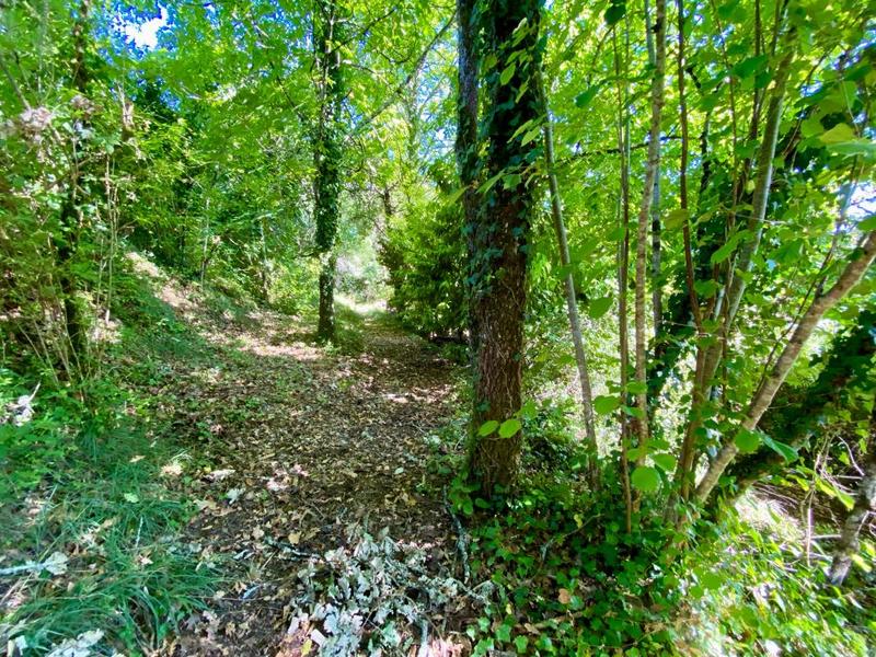 Propriété - 245 m² - 6 pièces