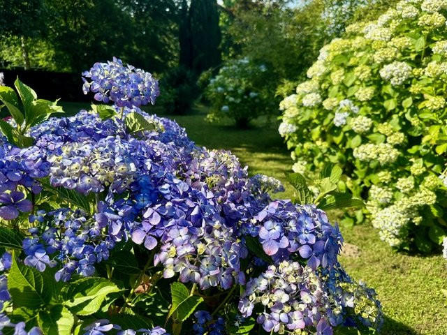 Maison - 247 m² - 8 pièces