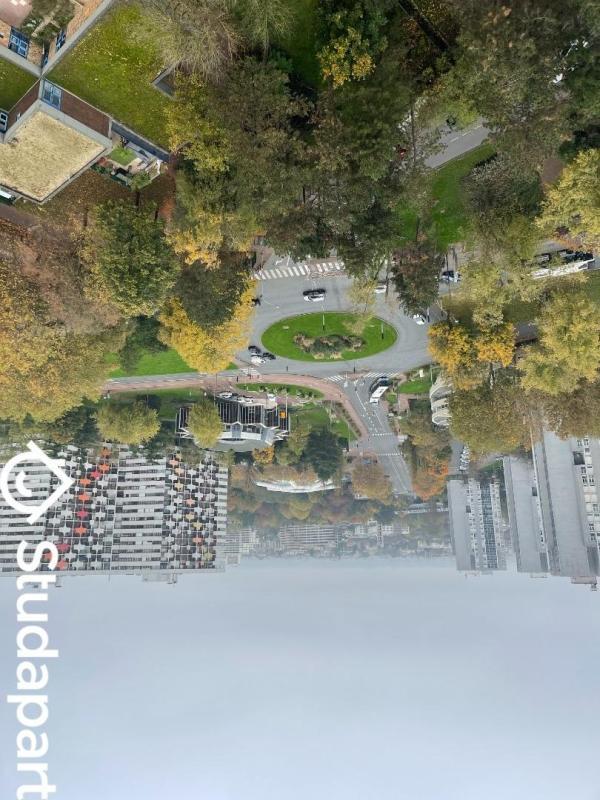 Chambre - 11 m² - 1 pièce