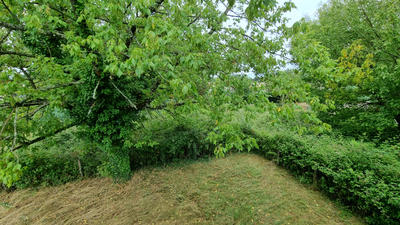 Maison - 74 m² - 4 pièces