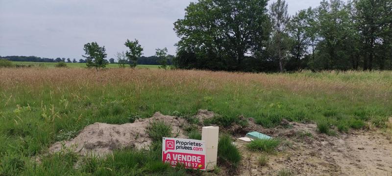 Terrain constructible - 1 217 m²