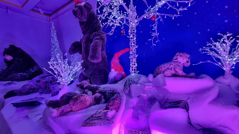 Exposition la forêt enchantée