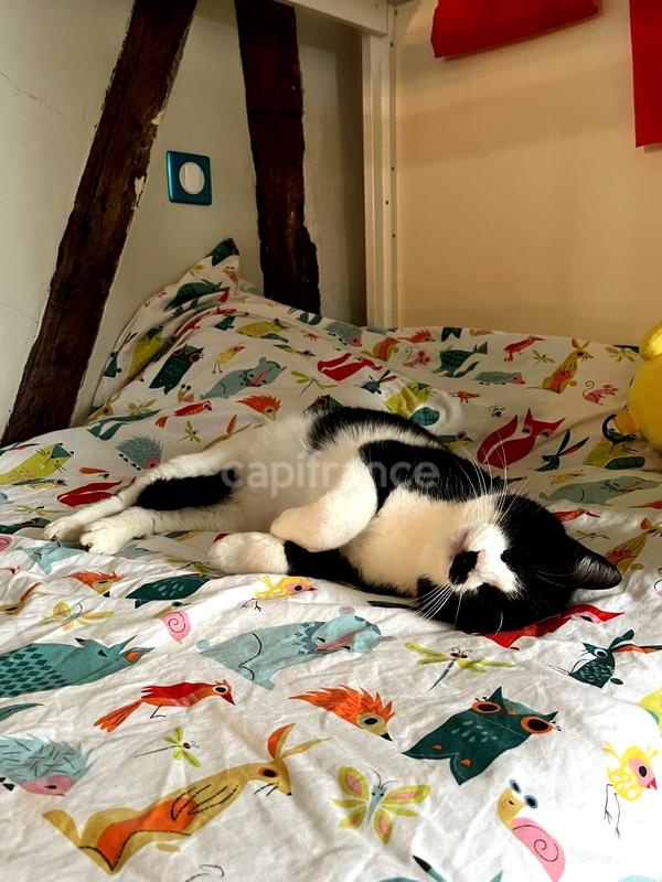 Maison de village - 135 m² - 5 pièces