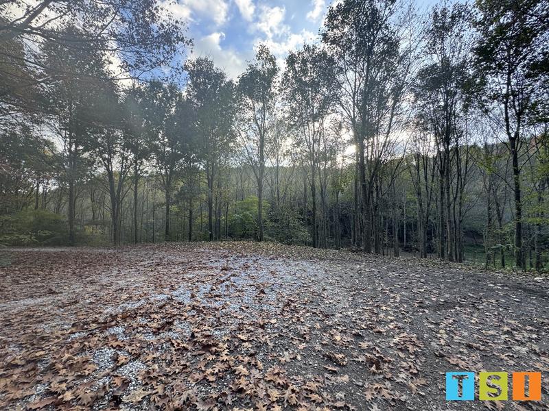 Maison de domaine - 340 m² - 10 pièces