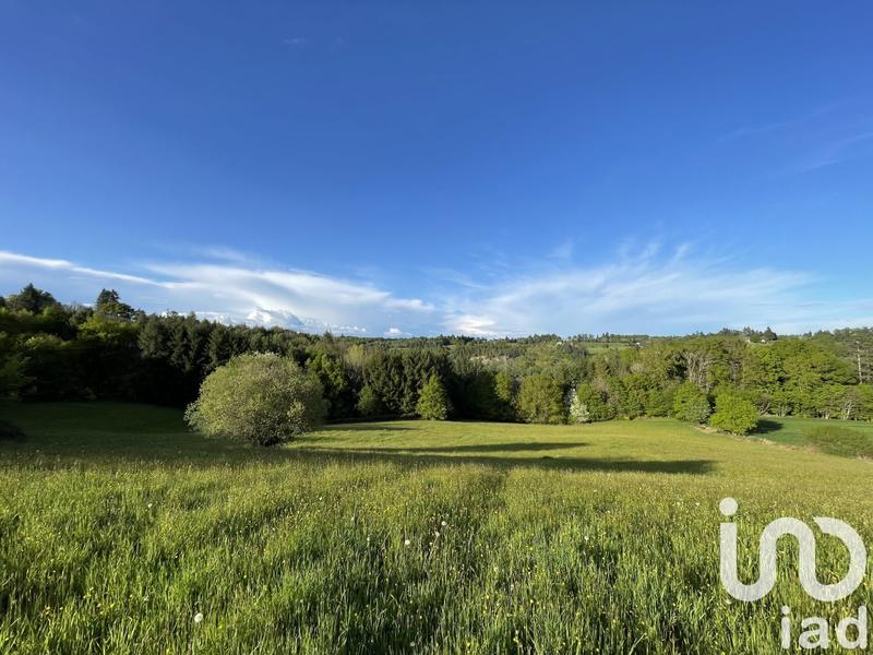 Terrain - 54 604 m²