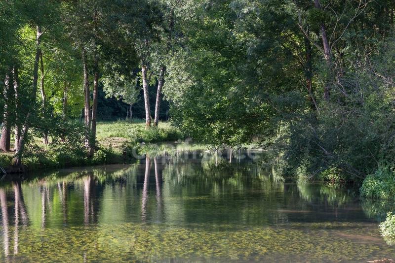 Maison - 205 m² - 9 pièces