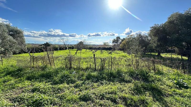 Maison - 204 m² - 5 pièces