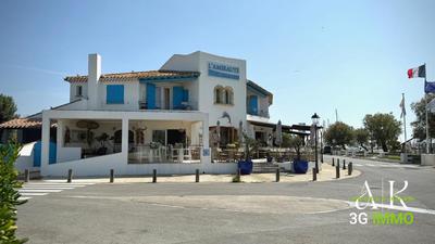 Maison - 314 m² - 10 pièces