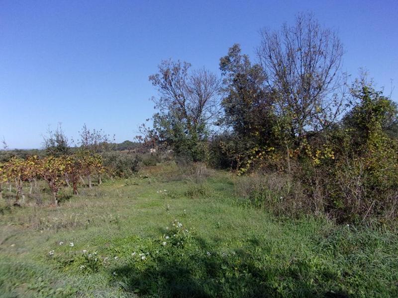 Terrain de loisirs - 2 300 m²