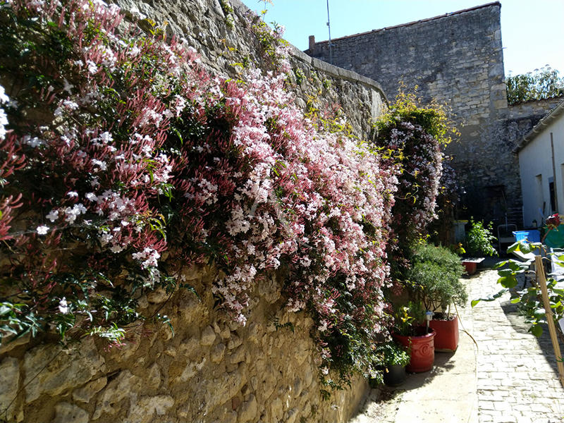 Maison - 158 m² - 6 pièces