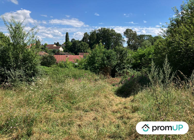 Terrain - 9 774 m²