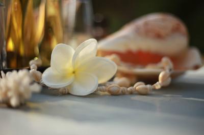 Massage Nice Domicile