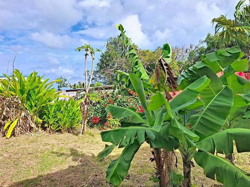 Maison - 115 m² - 4 pièces