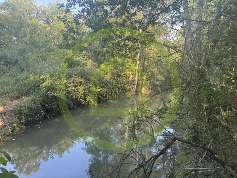 Propriété - 305 m² - 13 pièces