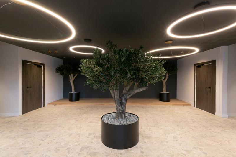 Appartement - 119 m² - 4 pièces