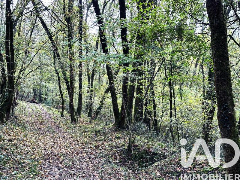 Maison de campagne - 290 m² - 11 pièces