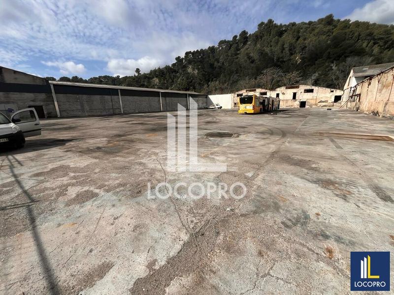 Local d'activité / Entrepôt - 3 269 m²