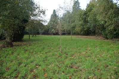 Terrain constructible - 1 000 m²