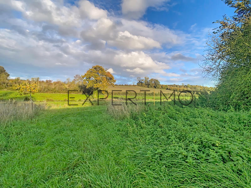 Maison - 230 m² - 9 pièces