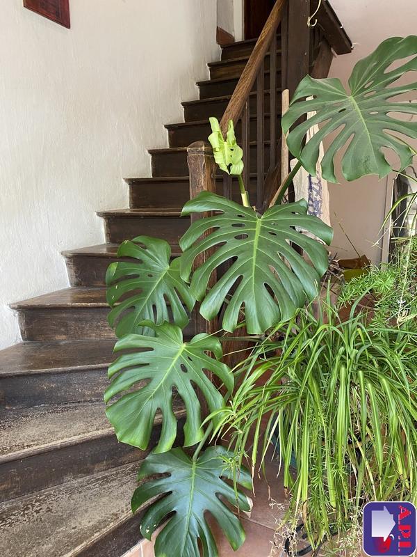 Maison de campagne - 172 m² - 6 pièces