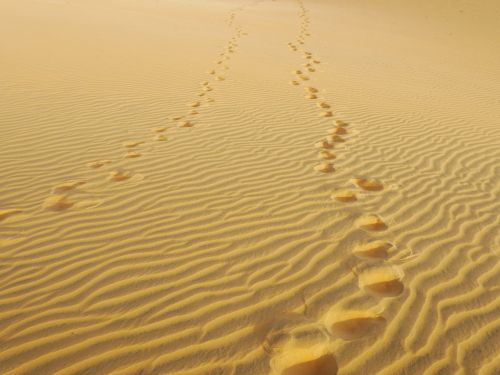 Anna Biais Psychologue