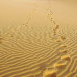 Anna Biais Psychologue