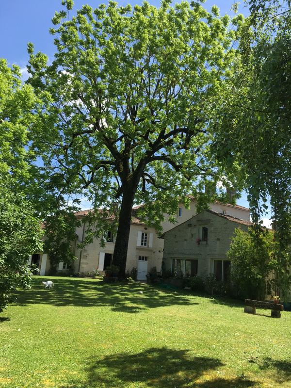 Maison ancienne - 725 m² - 12 pièces