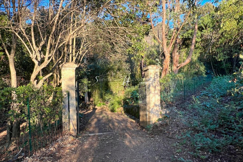 Maison - 334 m² - 10 pièces