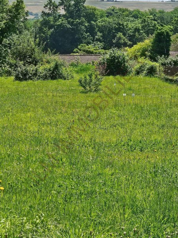 Terrain constructible - 1 704 m²