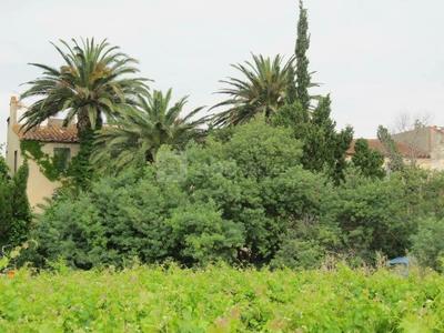 Mas - 500 m² - 10 pièces