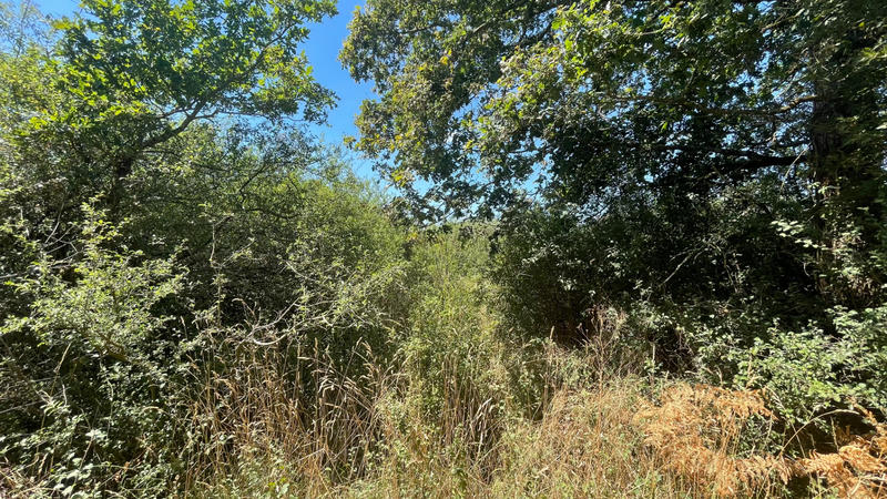 Terrain - 422 862 m²