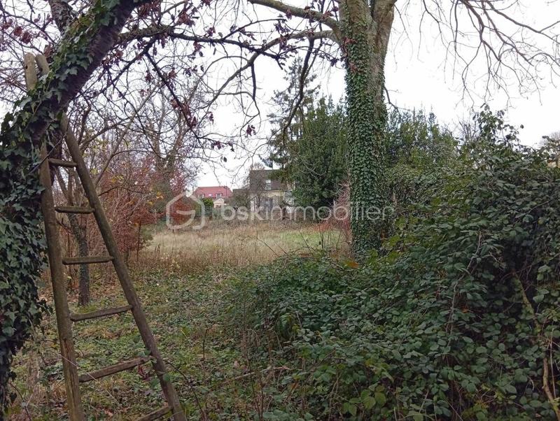 Terrain de loisirs - 659 m²