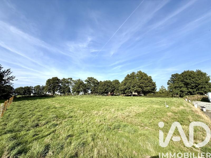 Terrain - 593 m²