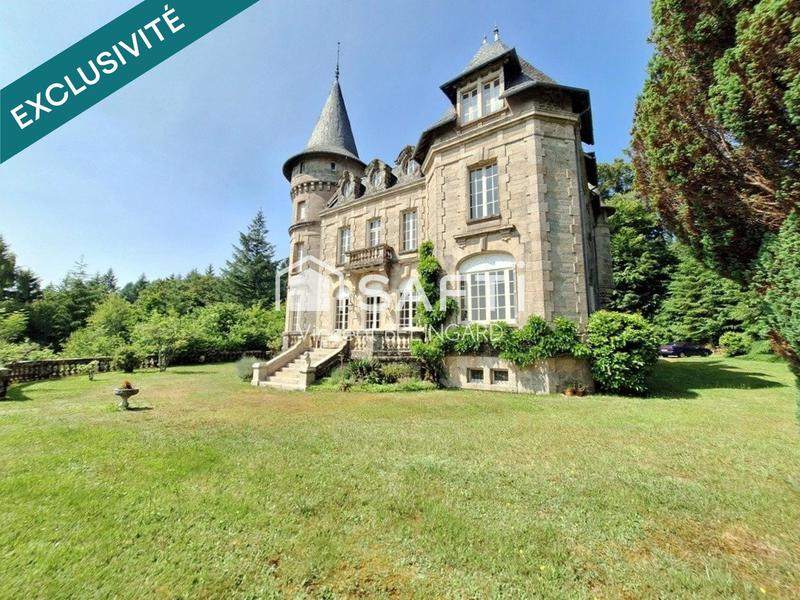 Château - 900 m² - 28 pièces
