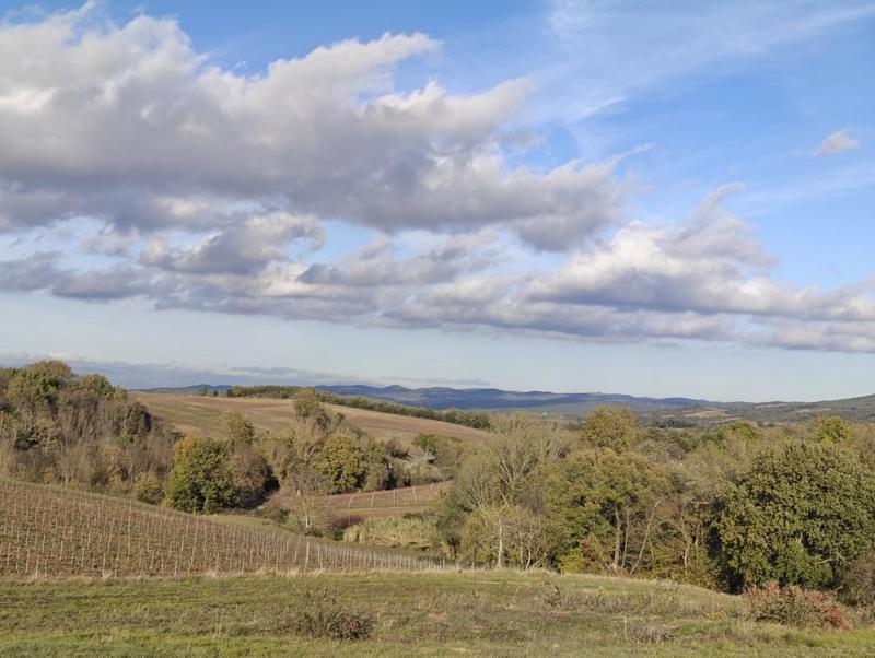 Terrain constructible - 6 839 m²