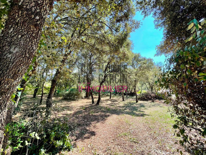 Maison - 156 m² - 4 pièces