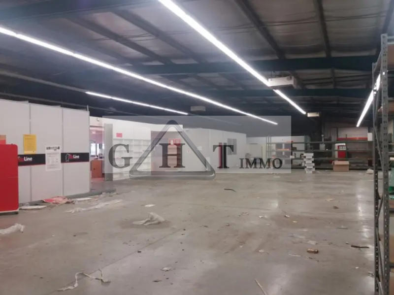 Entrepôt - 980 m²