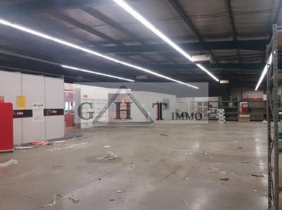 Entrepôt - 980 m²